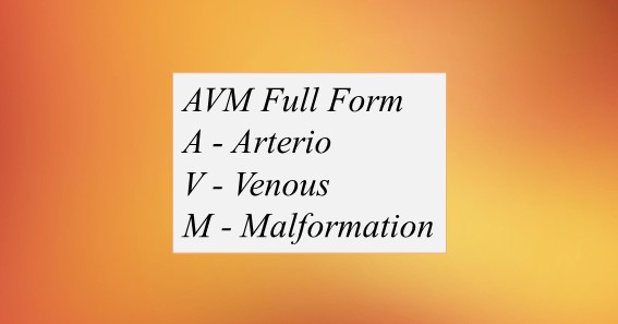 AVM Full Form