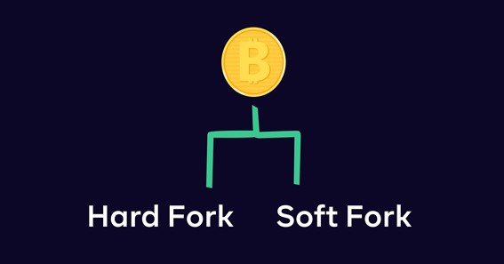 What's the Difference Between a Soft fork and a Hard fork