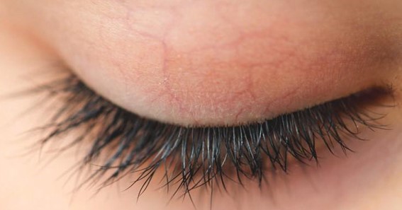 Does Coconut Oil Grow Lashes?