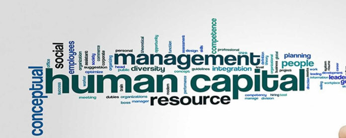 Human Capital Advisory Services