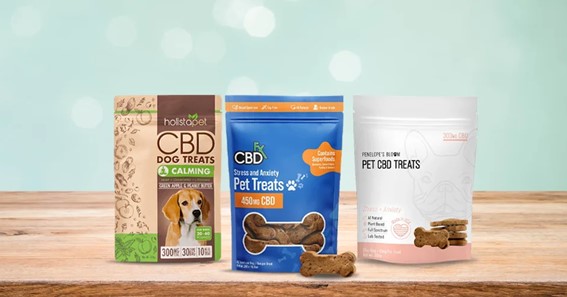 CBD: A Game Changer for Canine Joint Health