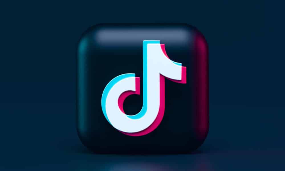 TikTok- Actual Learning Application for Teenagers and Businesses