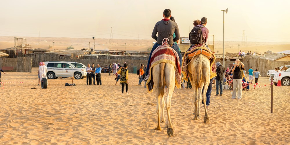 Immerse Yourself in the Authenticity of Dubai's Desert Safari