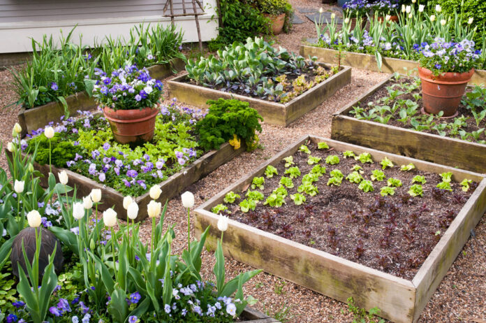 The Benefits of Raised Bed Gardening for Your Plants