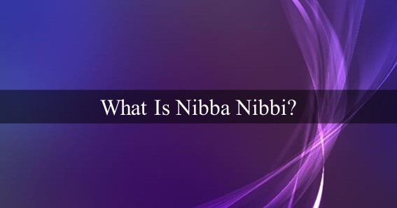 What Is Nibba Nibbi